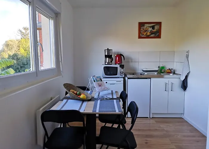 Apartamento Le Mabileau Saumur